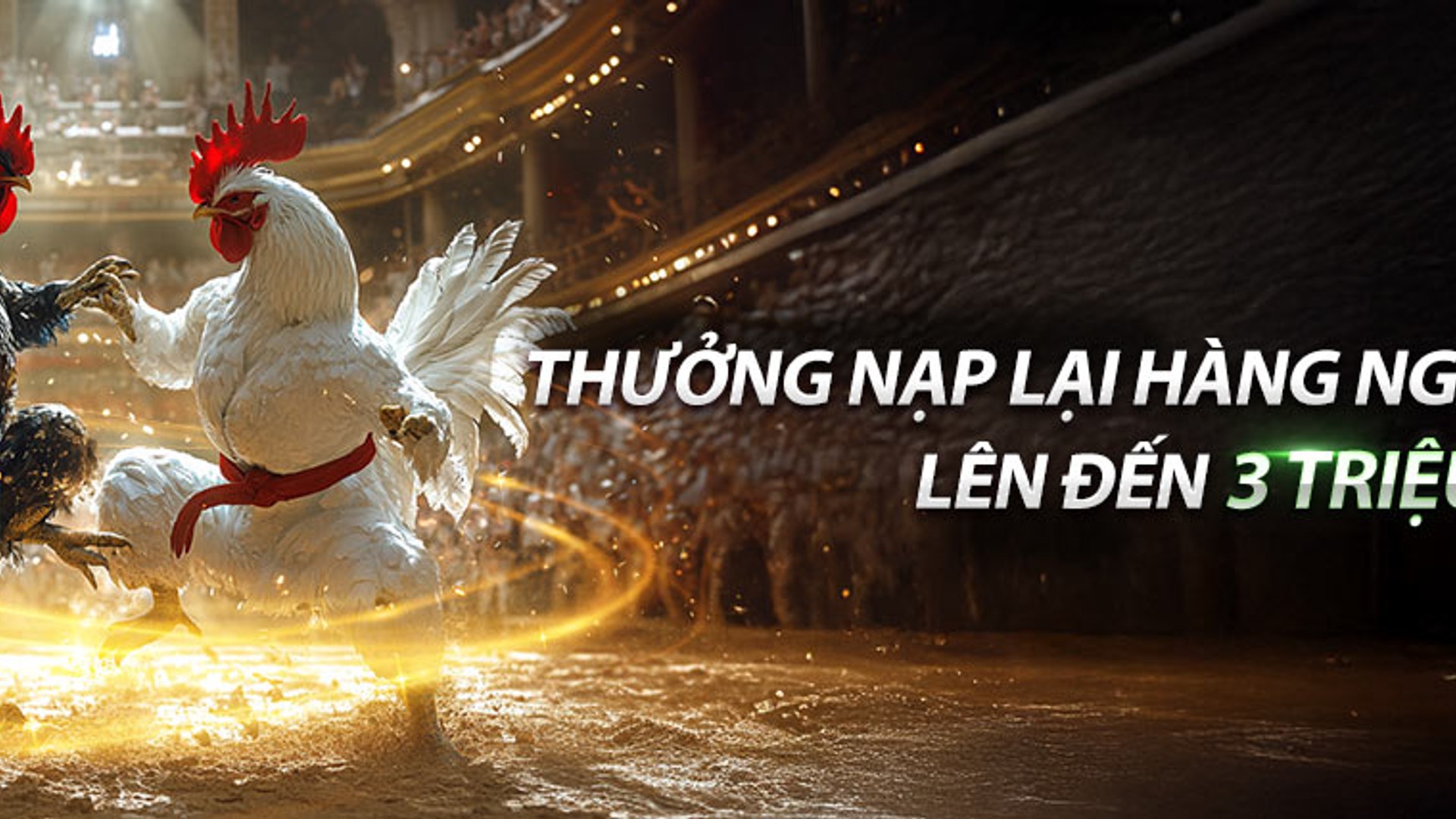 Đá gà trực tiếp az888