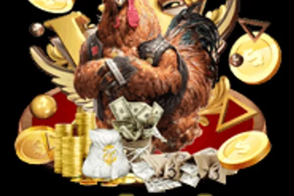 Đá gà cựa dao az888