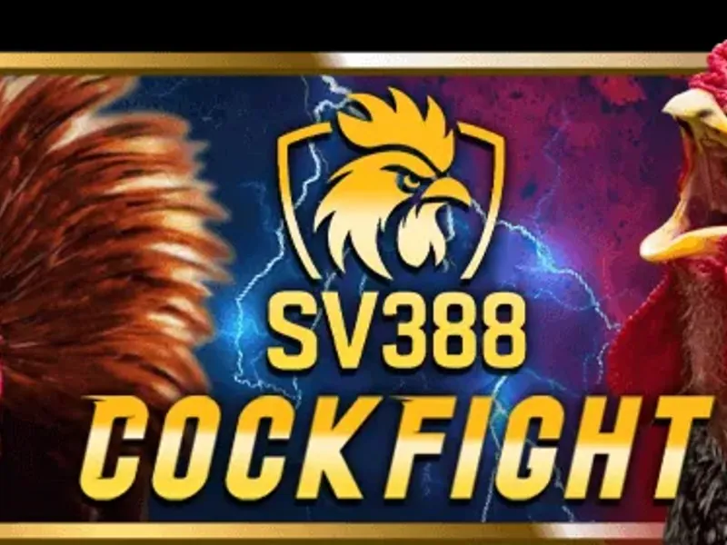 Chiến Lược & Mẹo Cược Đá Gà az888