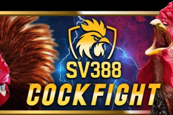 Hoàn trả đá gà az888