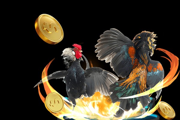 Đá gà cựa sắt az888